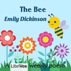 The Bee The Bee