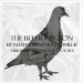The Belfry Pigeon